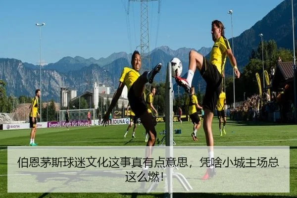 伯恩茅斯球迷文化这事真有点意思，凭啥小城主场总这么燃！