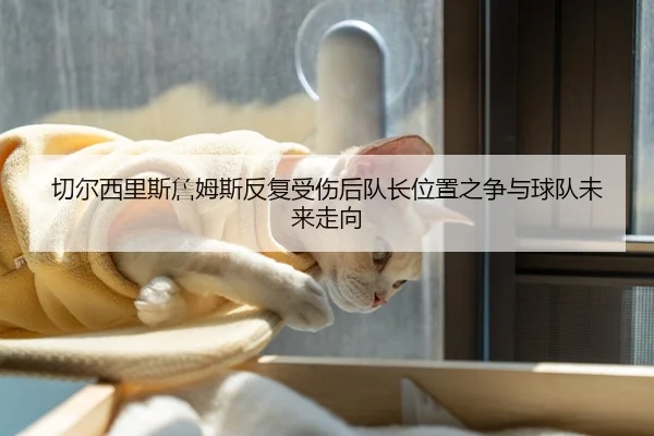 切尔西里斯詹姆斯反复受伤后队长位置之争与球队未来走向