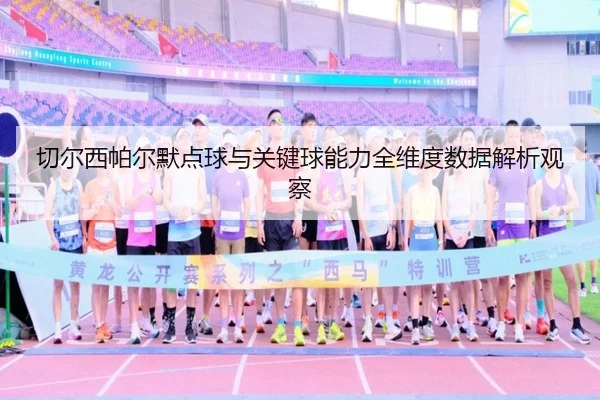 切尔西帕尔默点球与关键球能力全维度数据解析观察