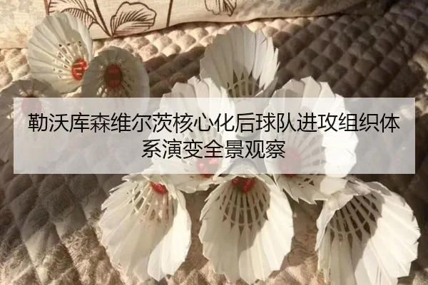 勒沃库森维尔茨核心化后球队进攻组织体系演变全景观察
