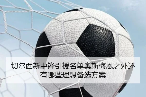 切尔西新中锋引援名单奥斯梅恩之外还有哪些理想备选方案